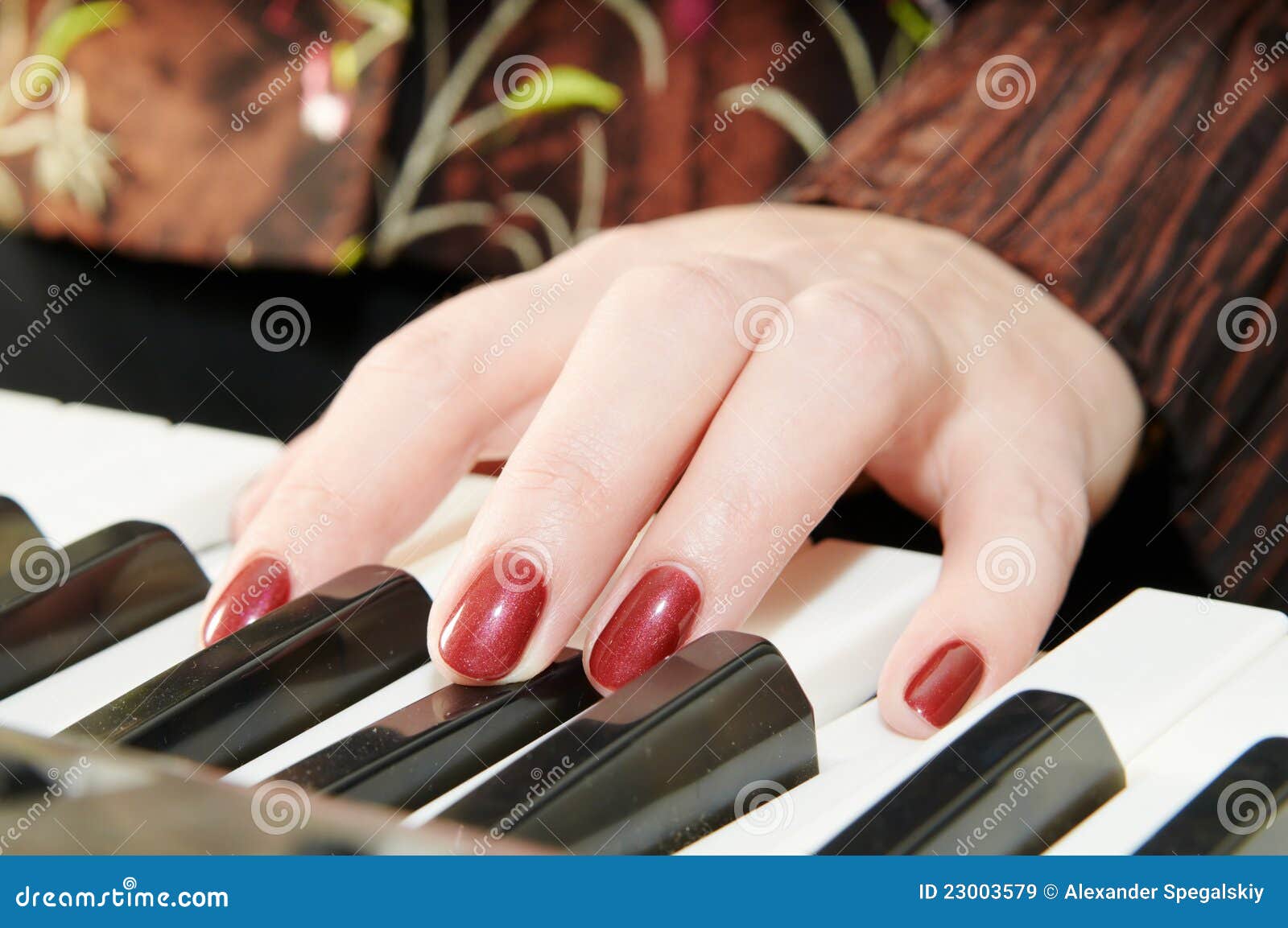 Hands of a Woman Playing Piano Stock Image - Image of nice, human: 23003579