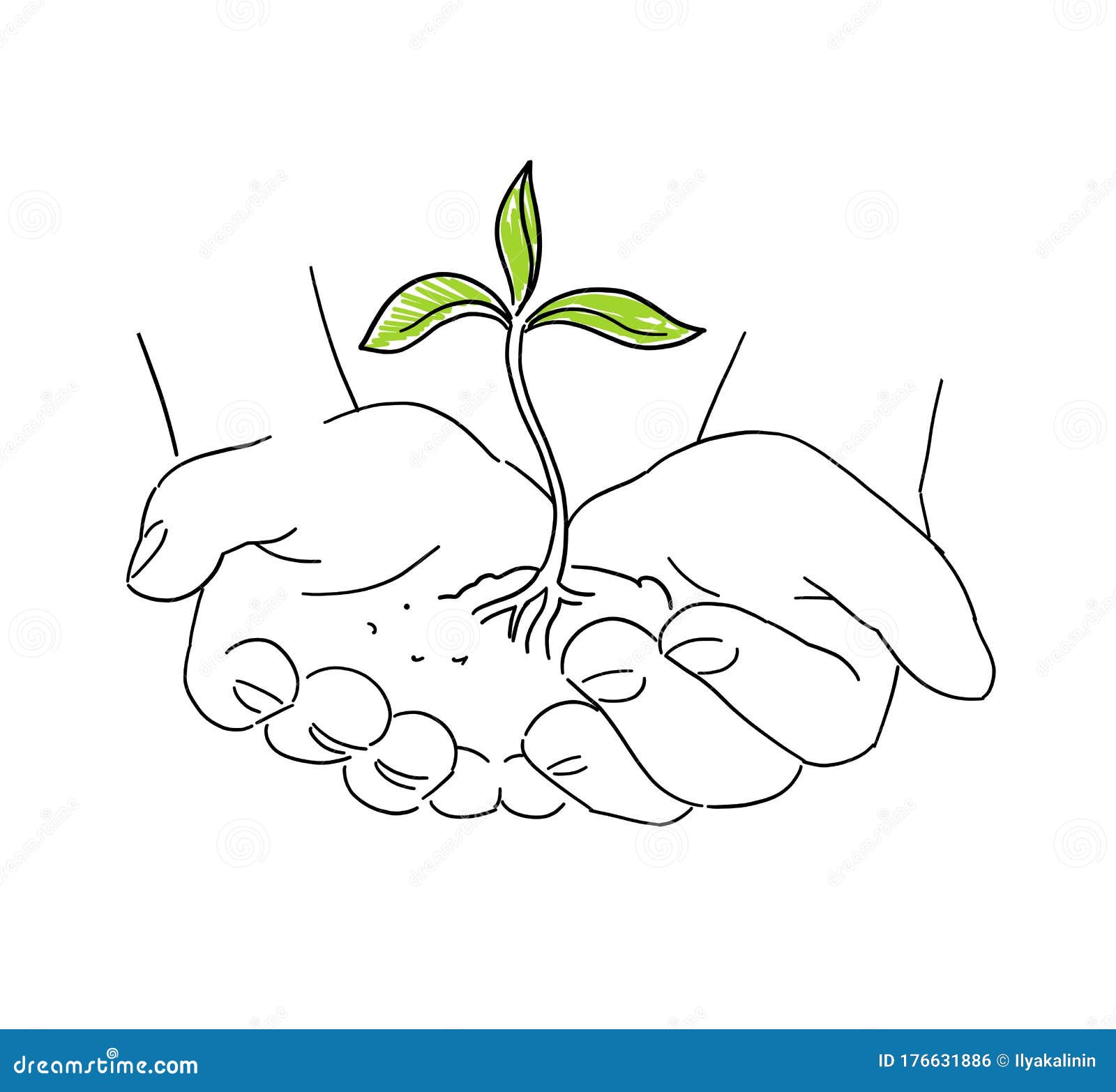 8800 Seed Growth Drawing Stock Photos Pictures  RoyaltyFree Images   iStock