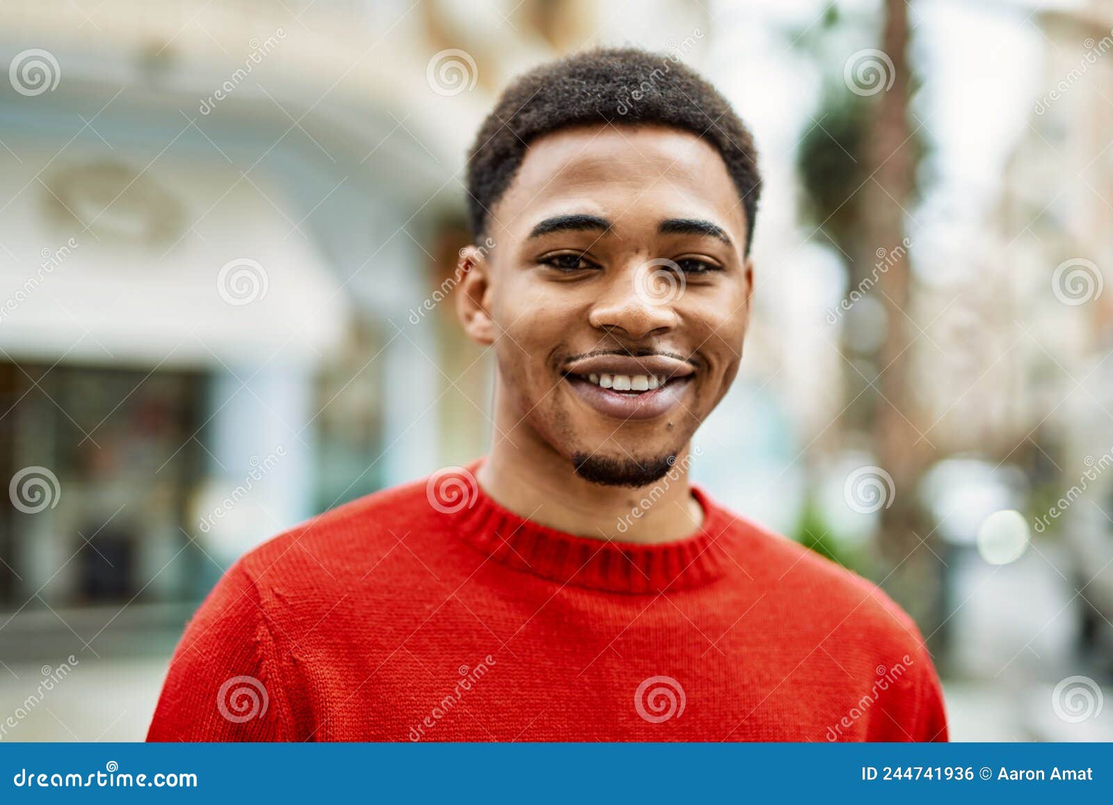 Handsome African American Man Outdoors Stock Photo Image of