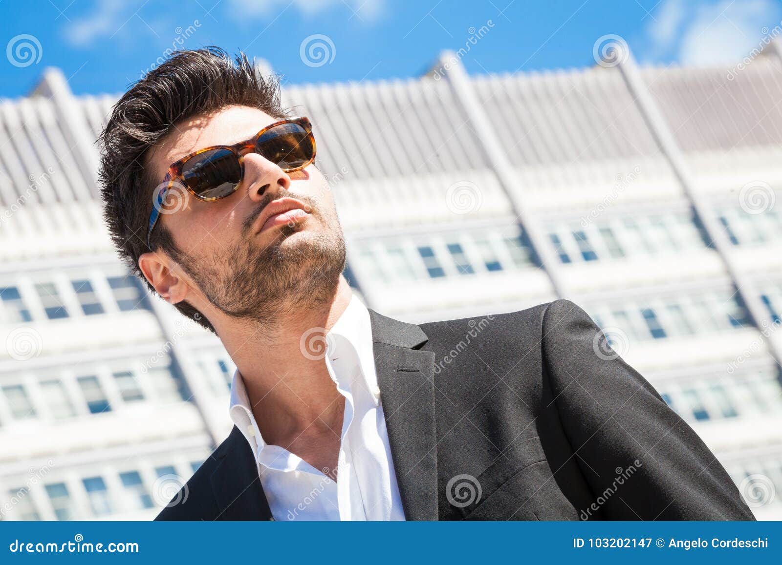 Handsome Businessman With Sunglasses Stock Image Image Of Confident Black 103202147