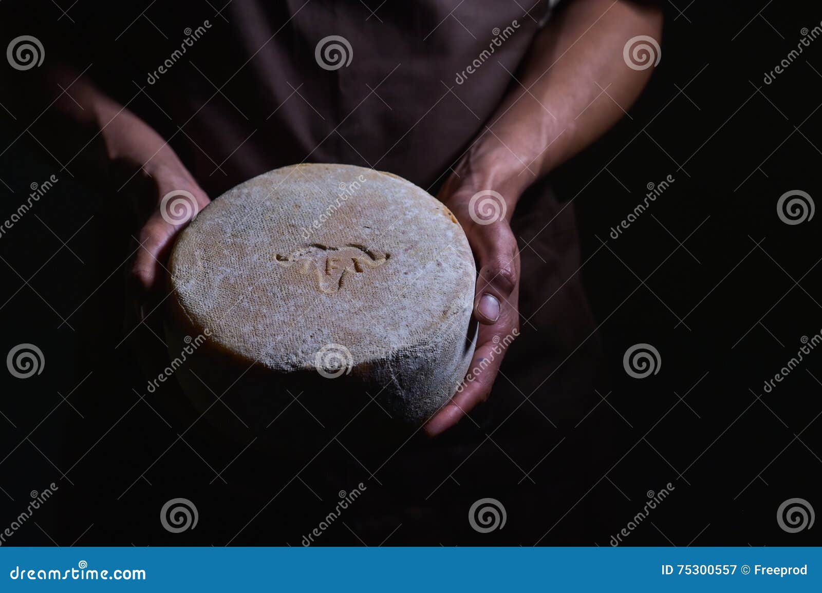 Handsome Cheesemaker is Checking Cheeses in His Storage. Stock