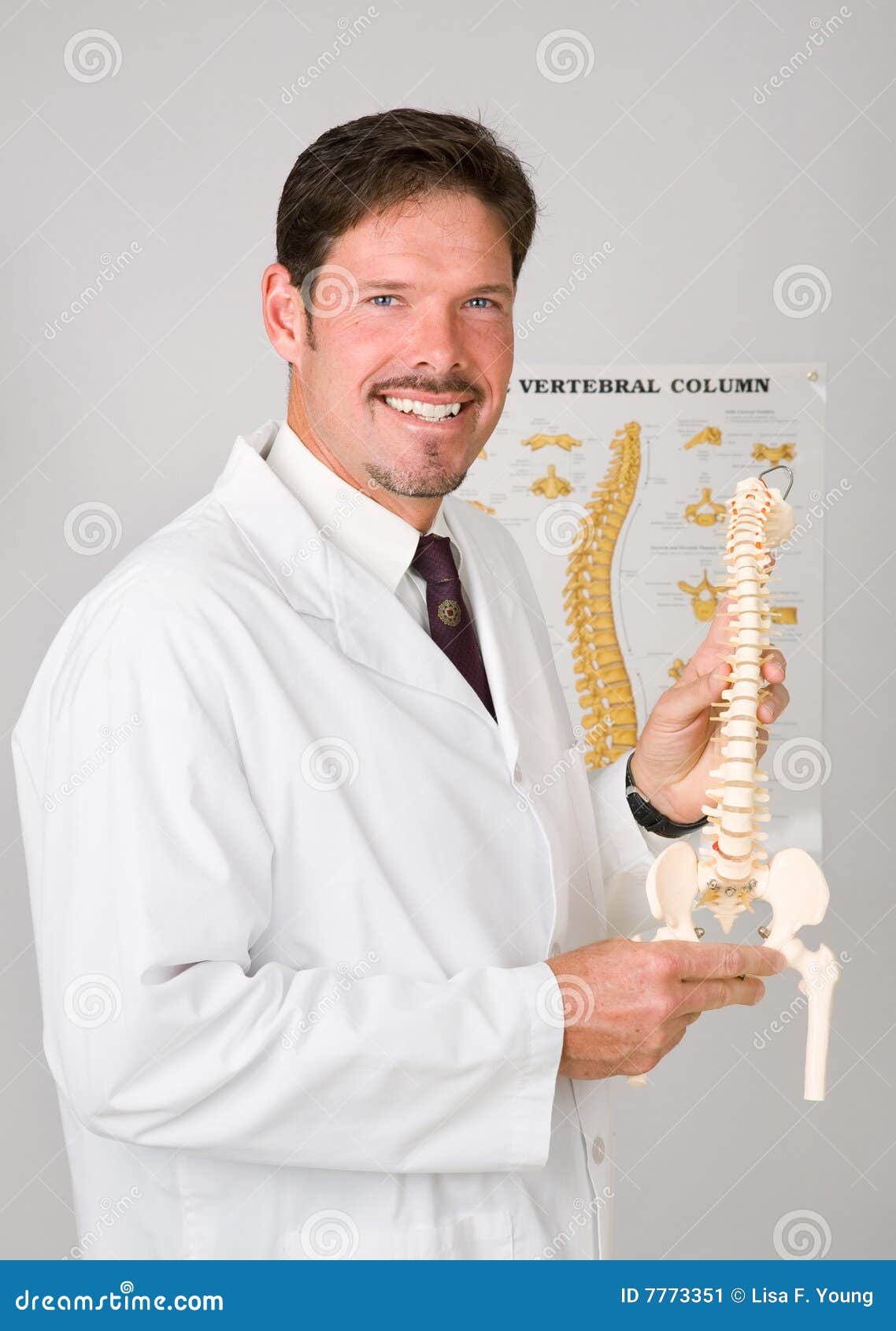 spine align chiropractic idaho falls spine align chiropractic idaho falls