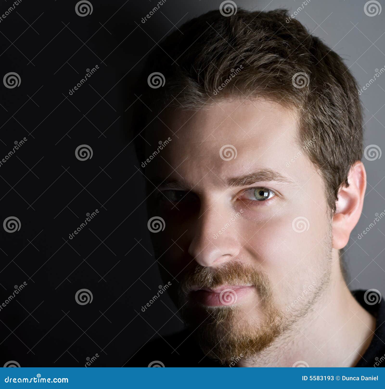 Handsome Confident Young Man Stock Image - Image of confident ...