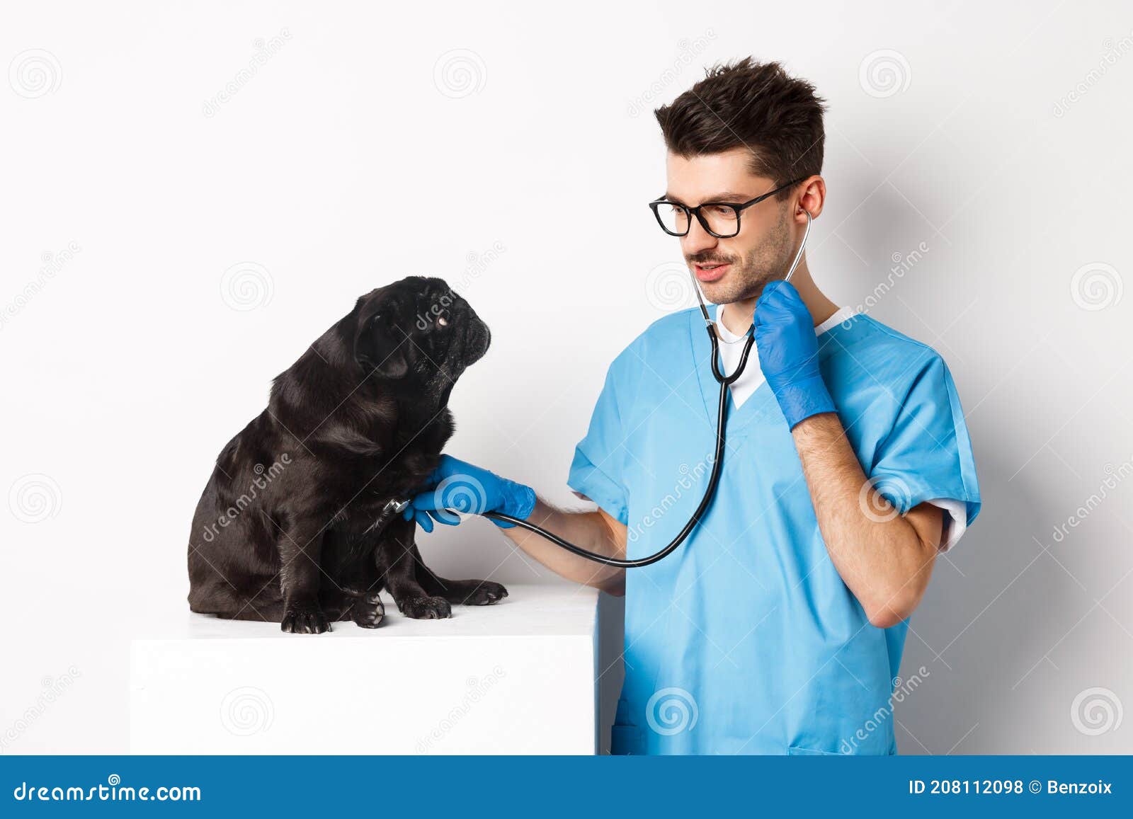 Handsome Doctor Veterinarian Smiling, Examining Pet in Vet Clinic