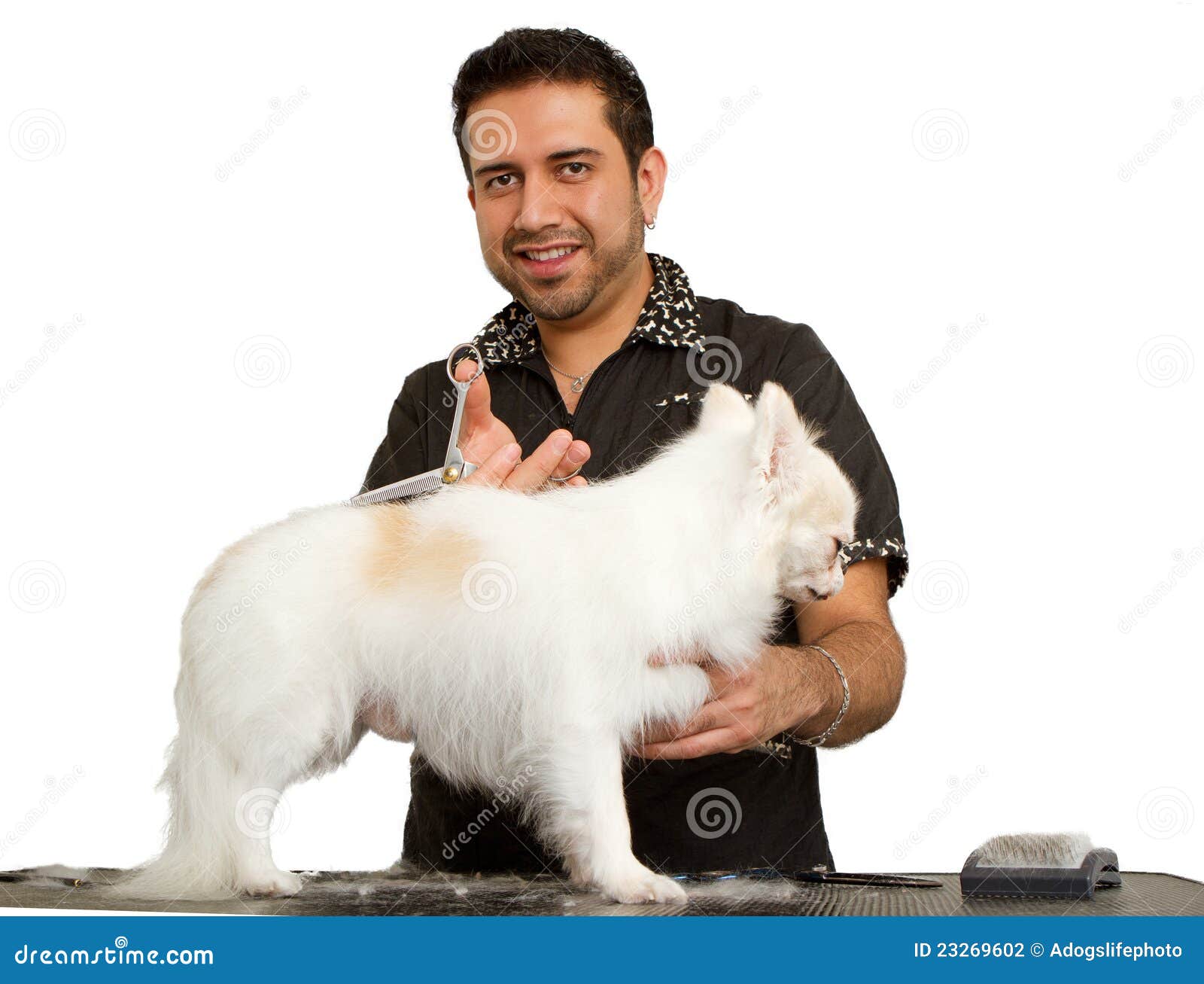 Handsome Male Groomer Working Stock Photo Image of hair, cutting