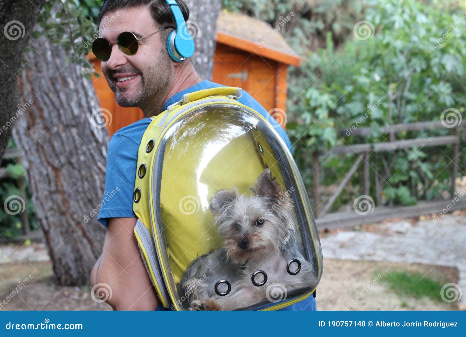 Handsome Man Carrying Dog in a Backpack Stock Photo Image of animal