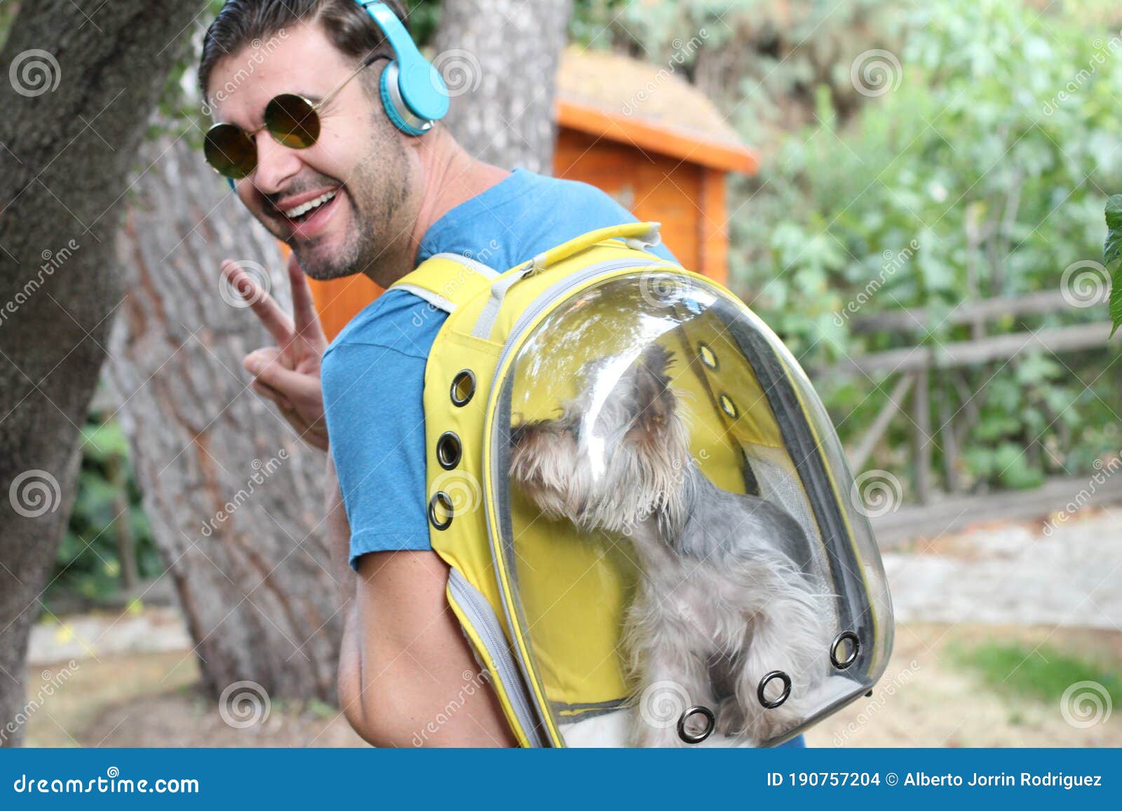 Handsome Man Carrying Dog in a Backpack Stock Photo Image of animal