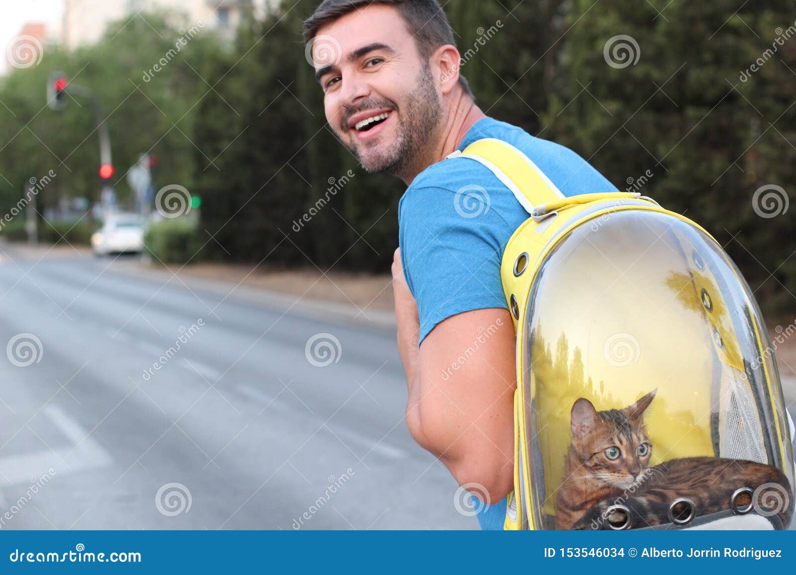 cat transparent backpack
