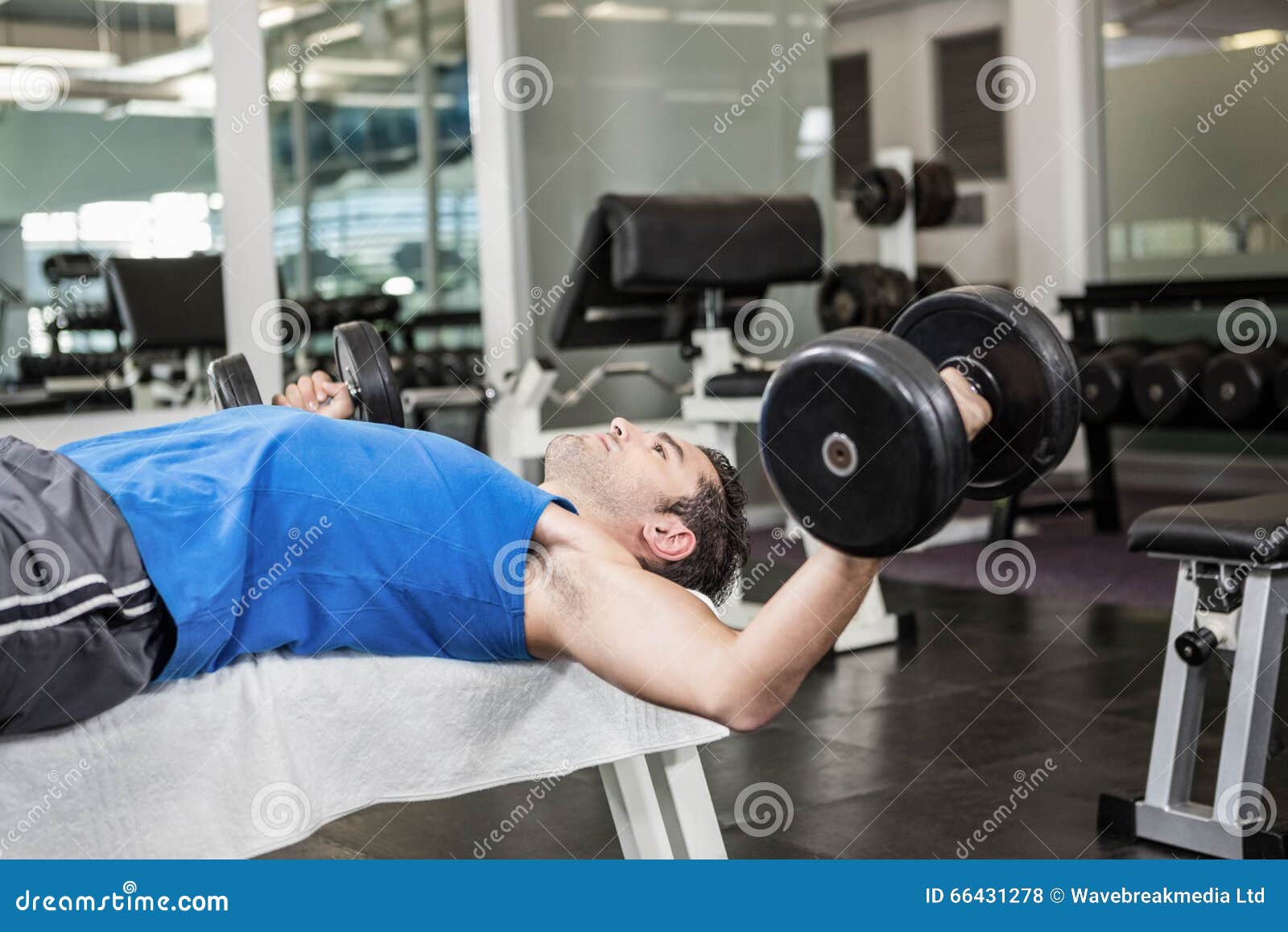 Handsome Man Lifting Dumbbells on Bench Stock Photo Image of
