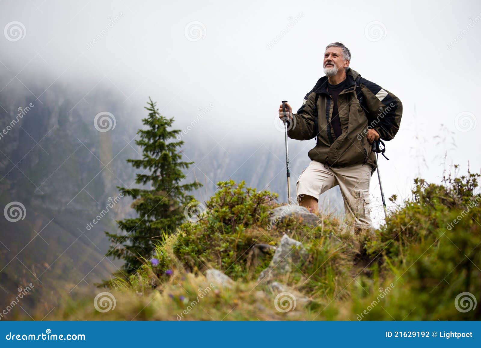 handsome senior man nordic walking