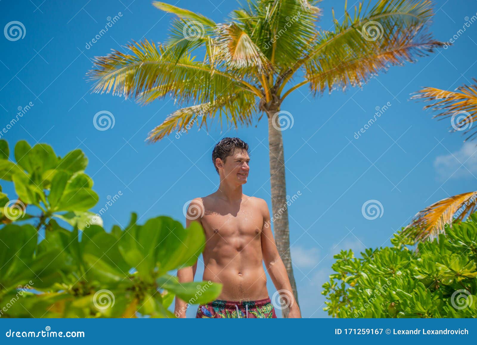 Handsome Model Looking Man on the Beach with Palm Trees at the Tropical ...