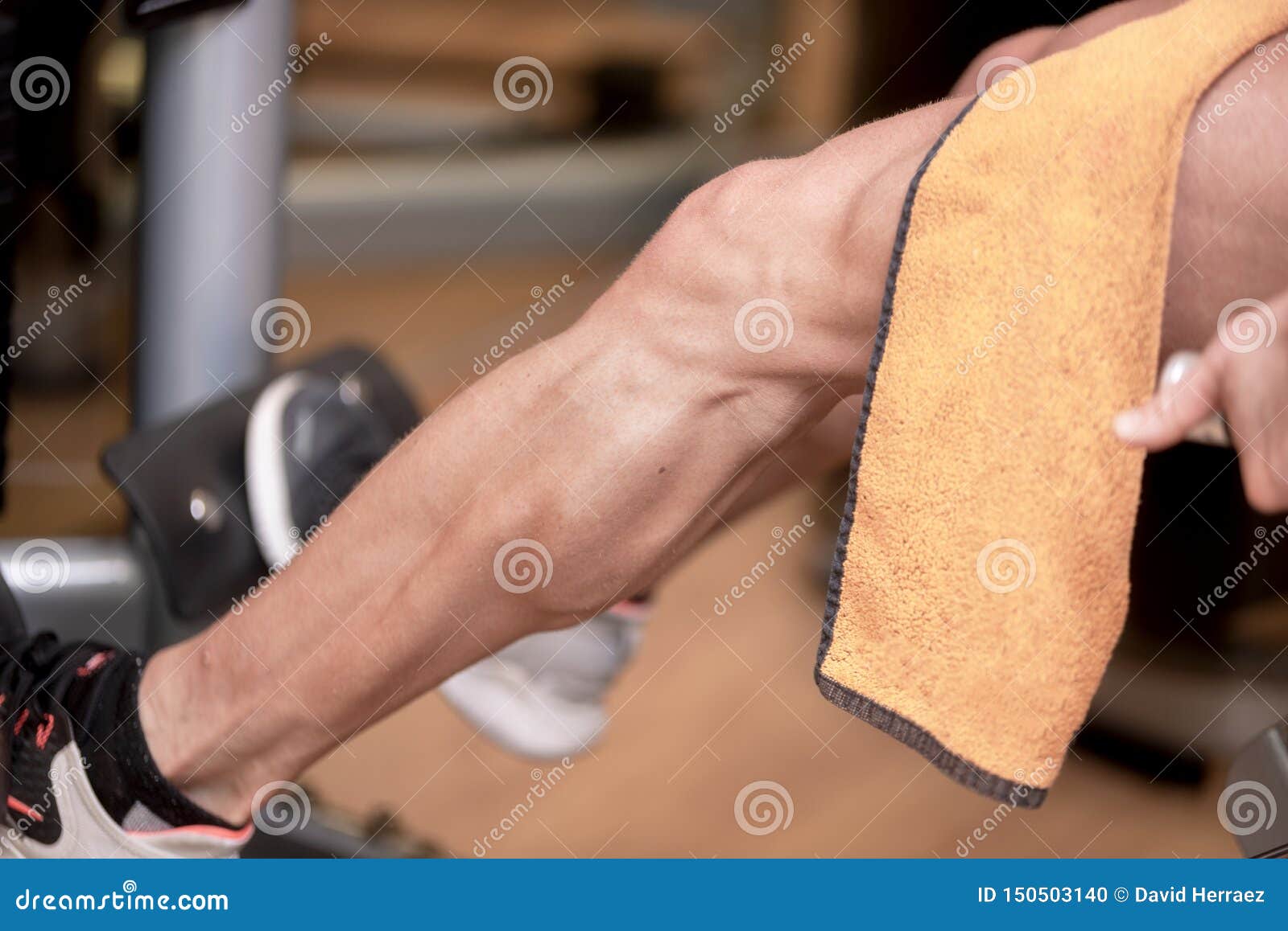 Handsome Strong Man Performed Leg Press Workout in the Gym. Stock Photo