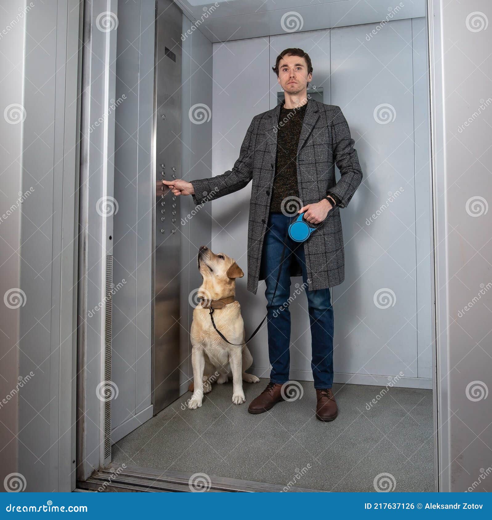 Handsome Stylish Man Standing with Labrador Dog in Elevator Stock Photo