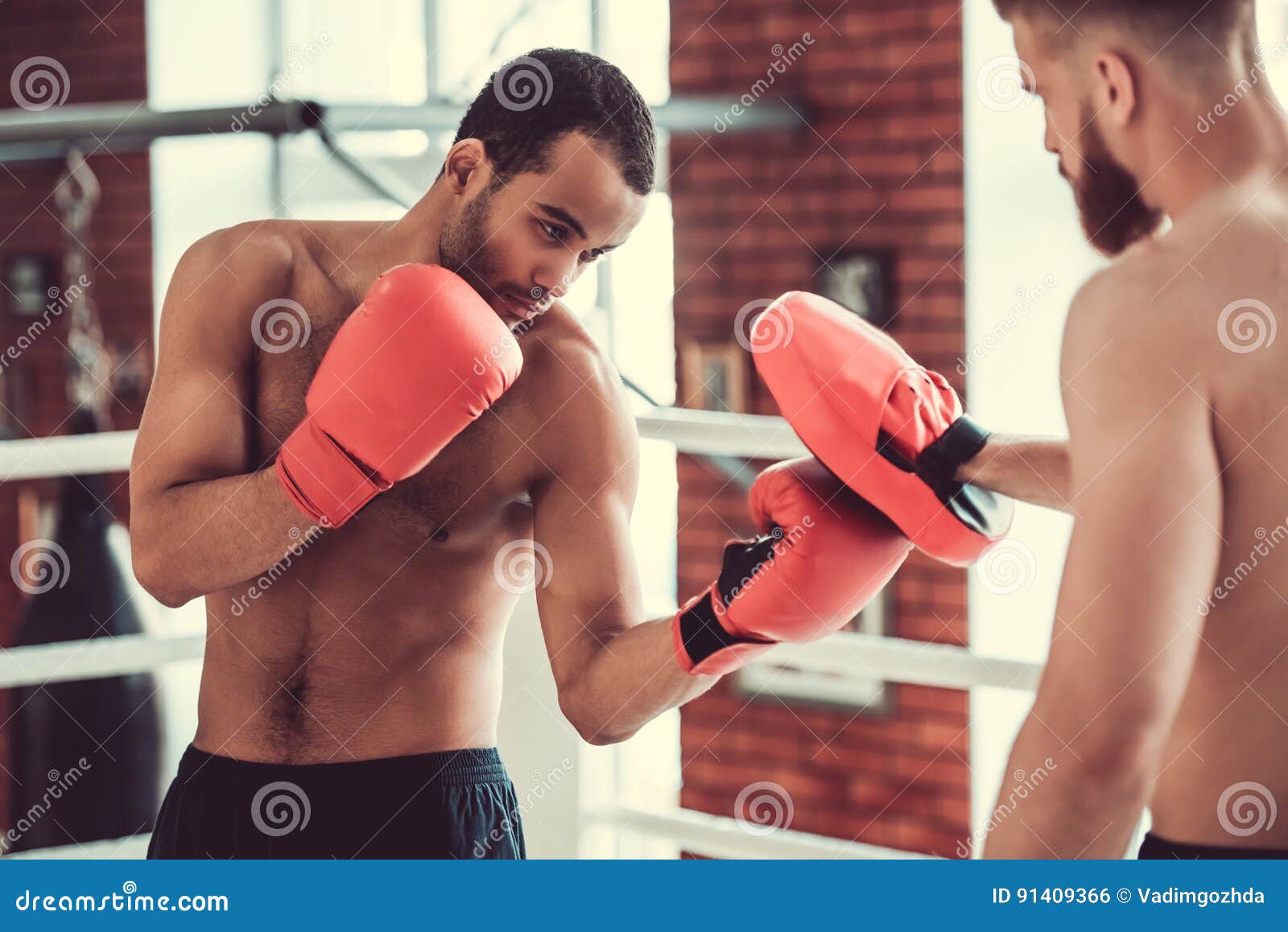 Handsome young boxers stock photo. Image of concentrated 91409366