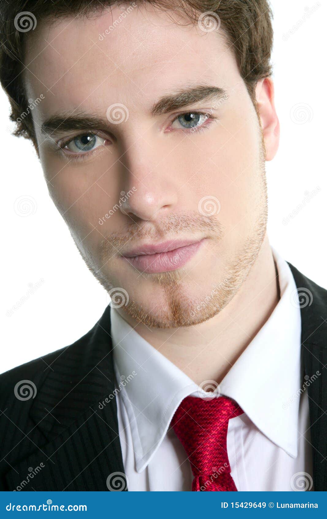 Handsome Young Businessman Portrait Tie Suit Stock Image Image 15429649