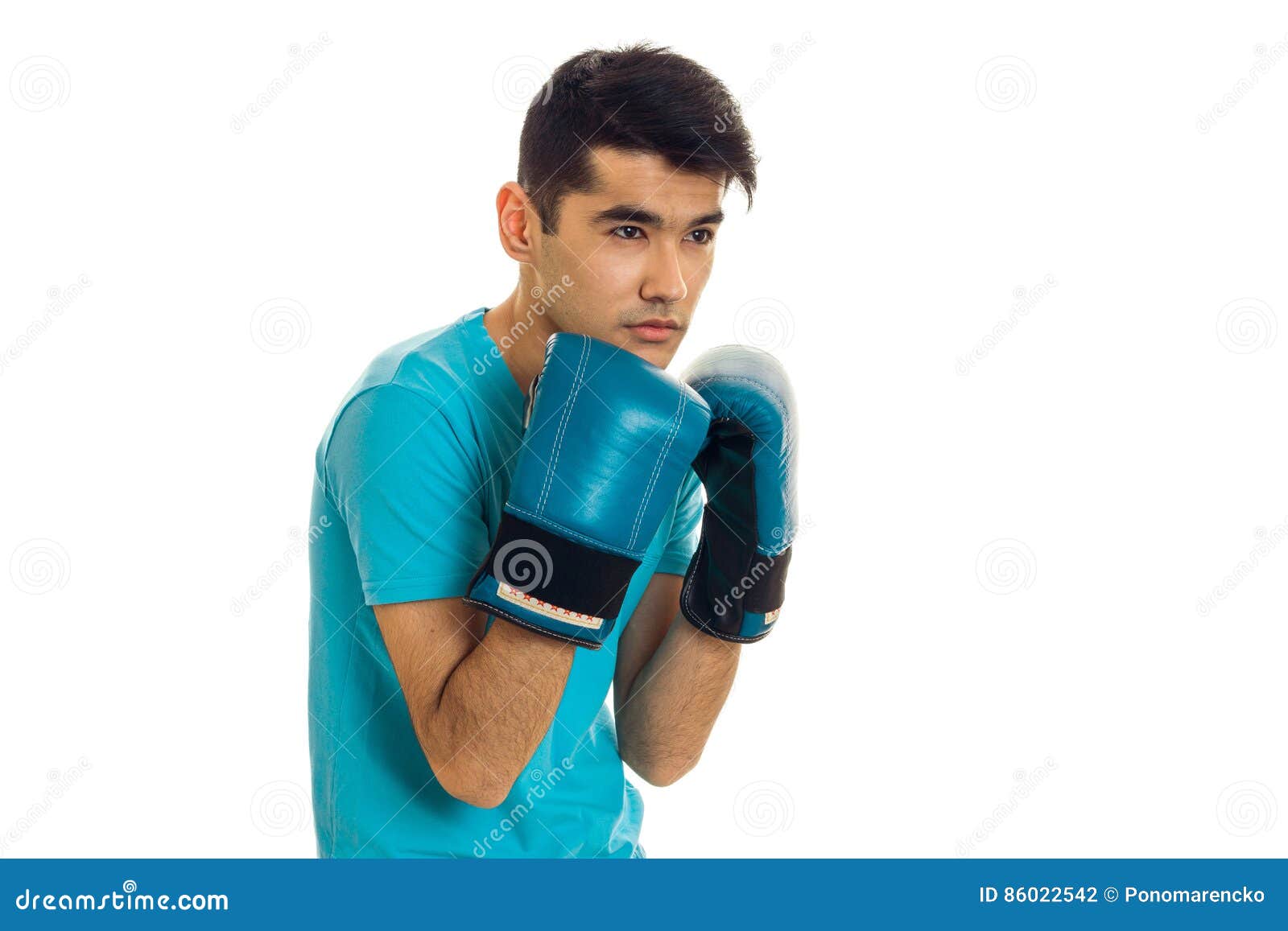 Handsome Young Guy Practicing Boxing in Blue Gloves Isolated on White ...