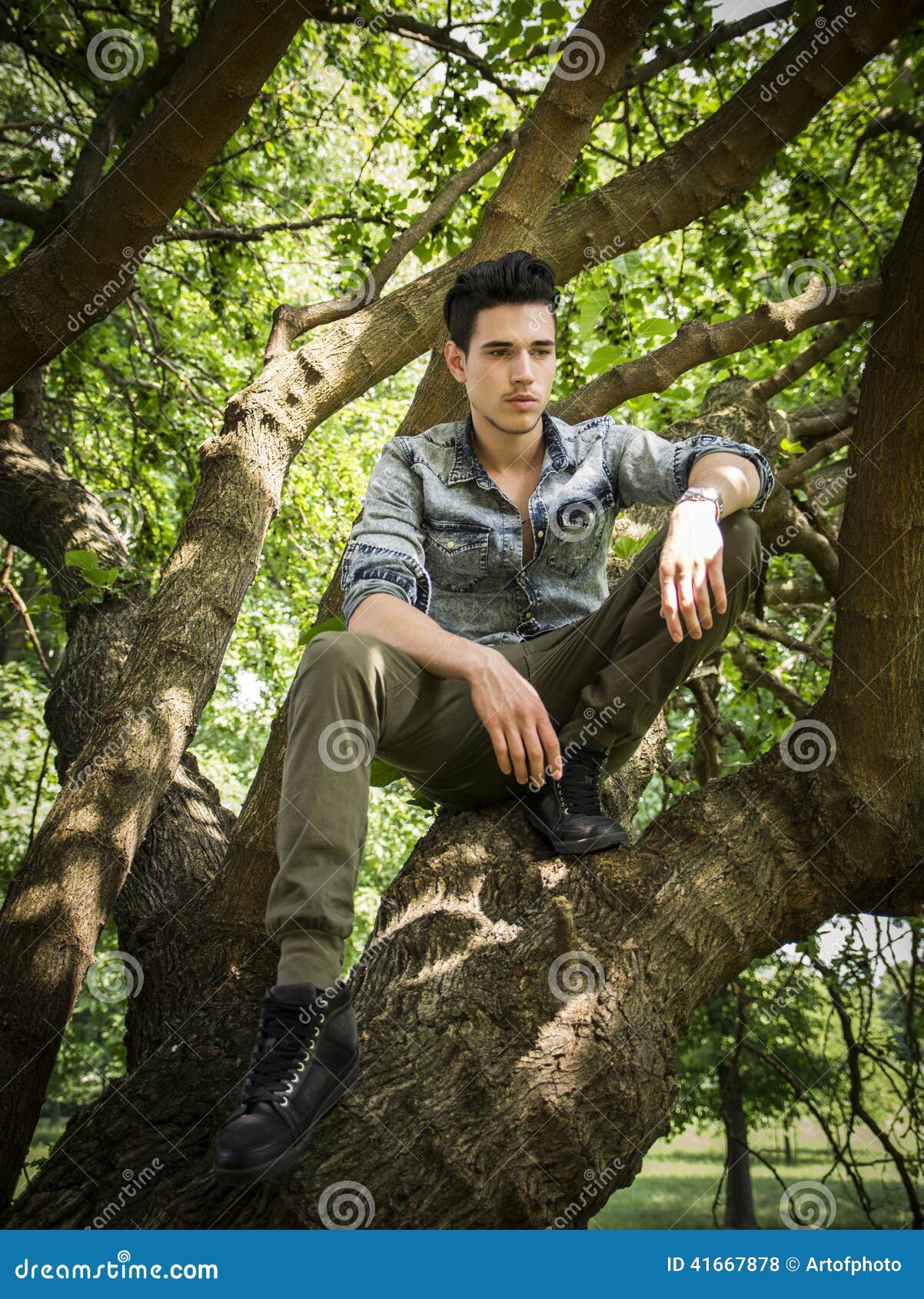 Handsome Young Man Sitting on Tree Branches Stock Photo - Image of ...