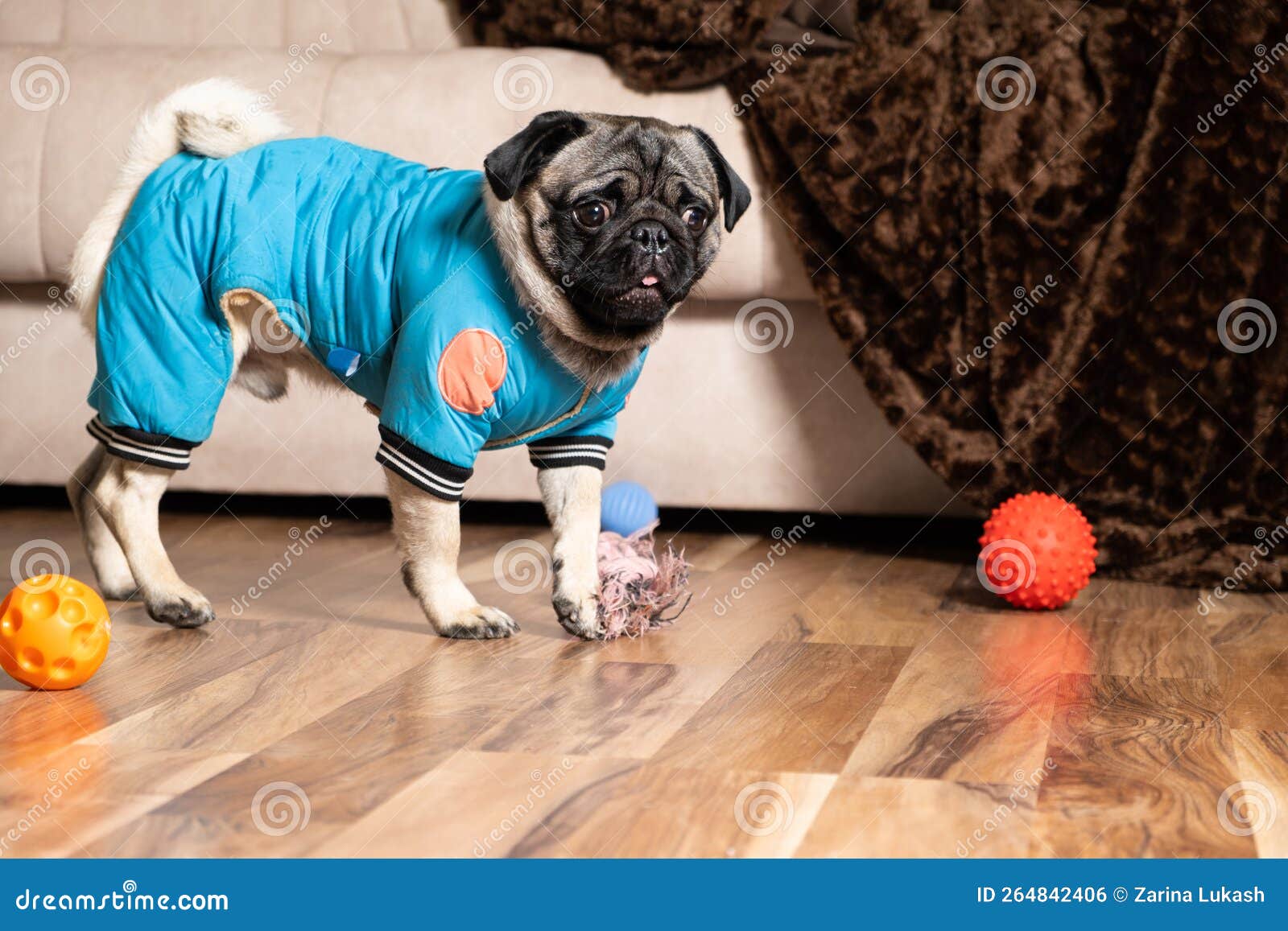 Pug balls sale