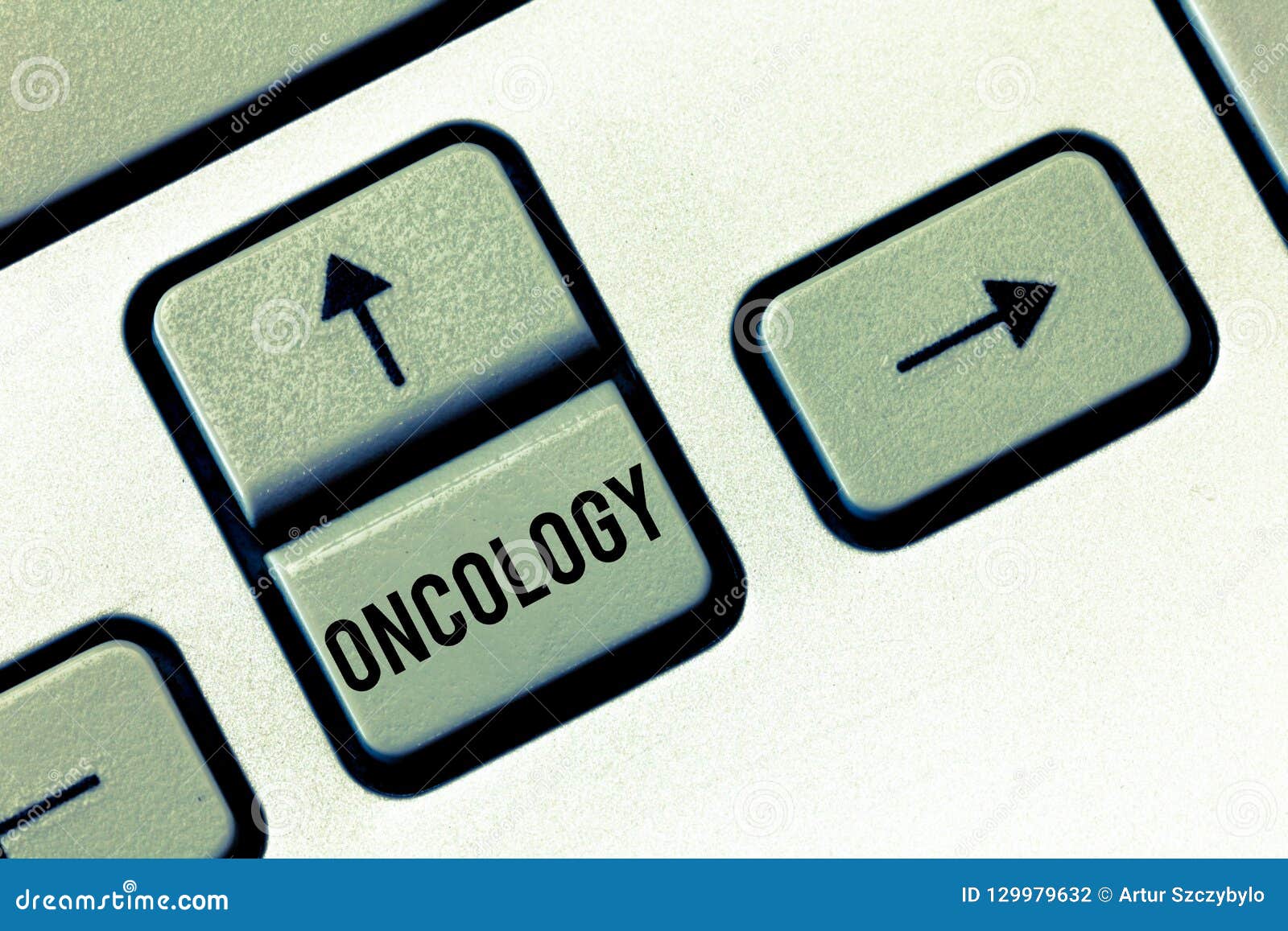 Oncology meaning