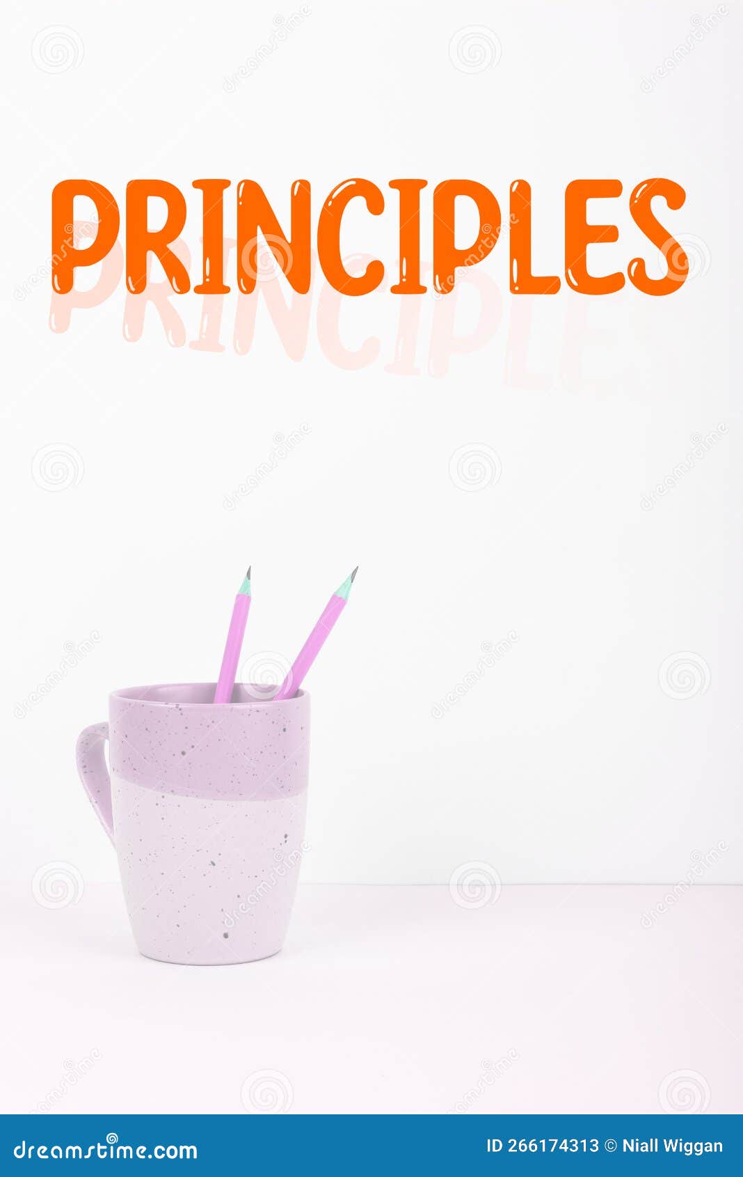 Conceptual Display Principles. Concept Meaning Fundamental Truth that 