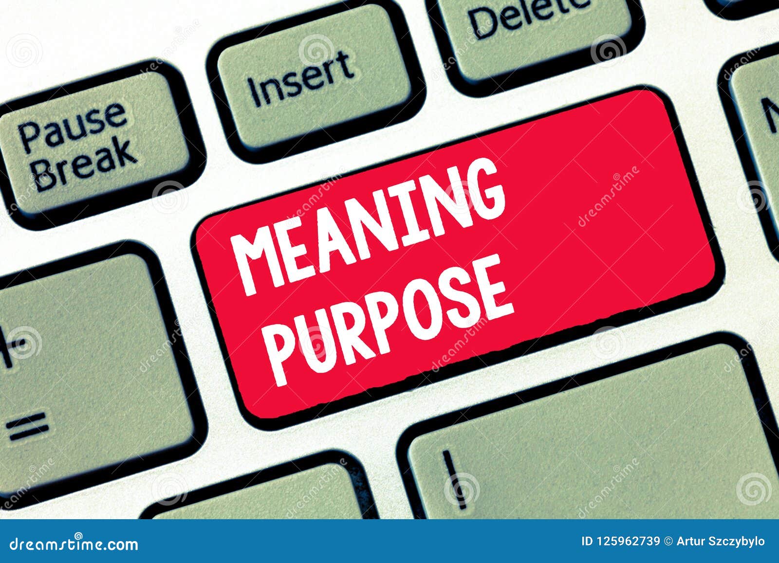 reason meaning reason meaning