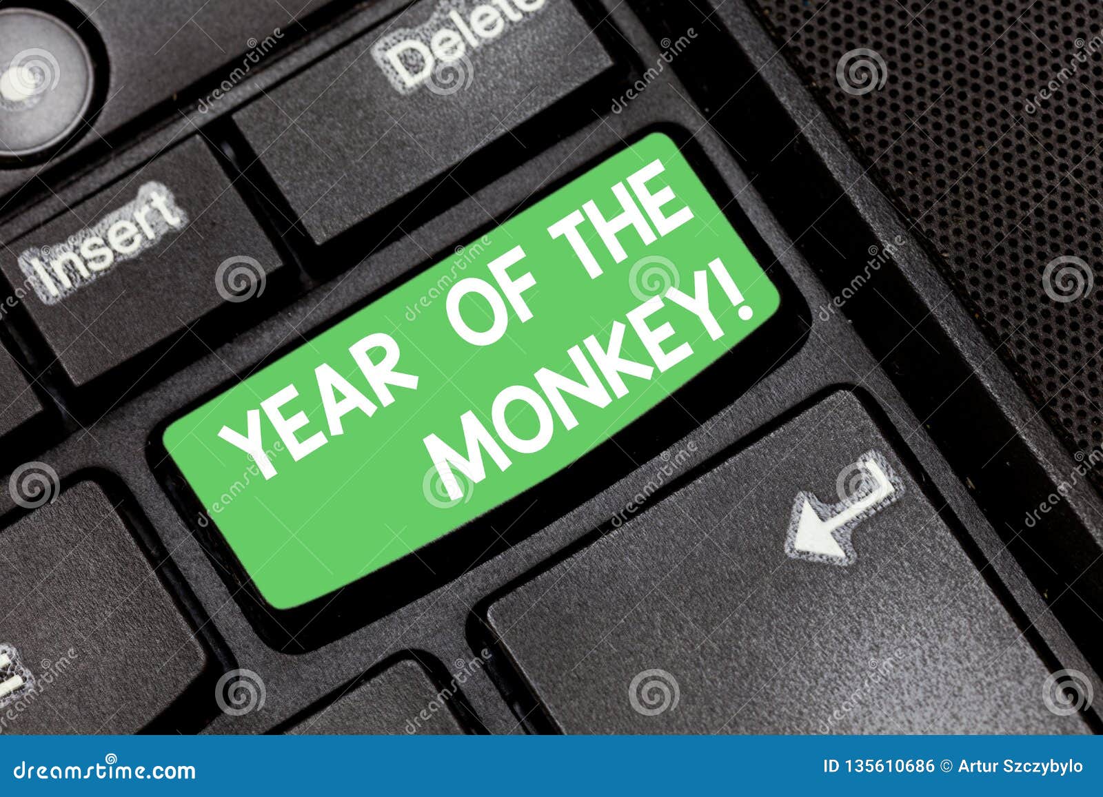 Handwriting Text Year of the Monkey. Concept Meaning Chinese Horoscope