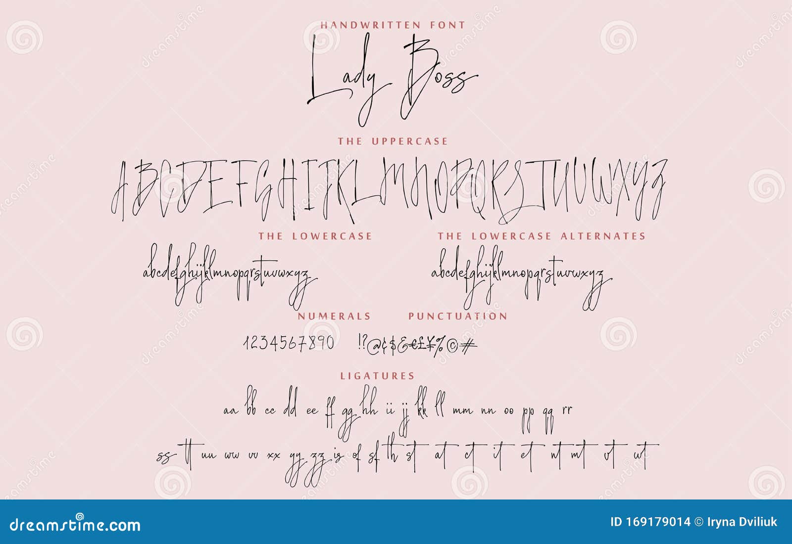 handwritten script font  alphabet lady boss set