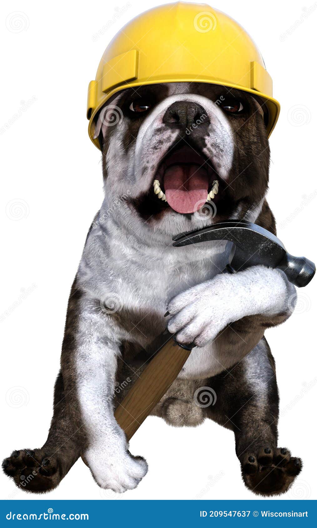 Handyman Tool Dog, Worker, Isolated Stock Image - Image of work ...