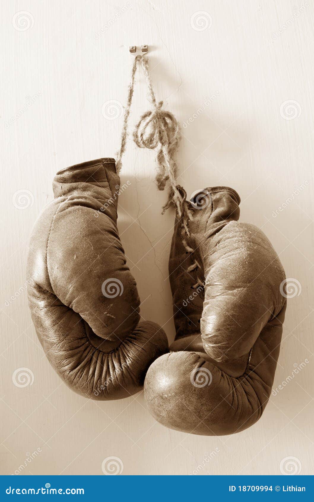 Hang Up the Gloves, Collecting Dust. Stock Photo Image of boxing