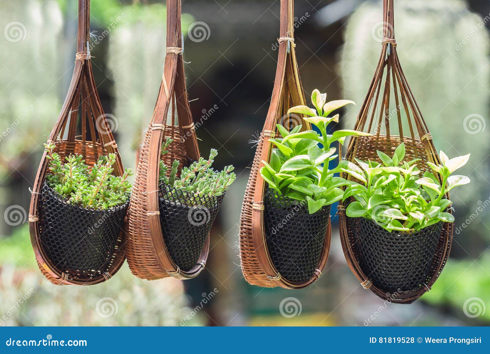 Hanging Basket Filled with Flowers in Garden Stock Photo Image of
