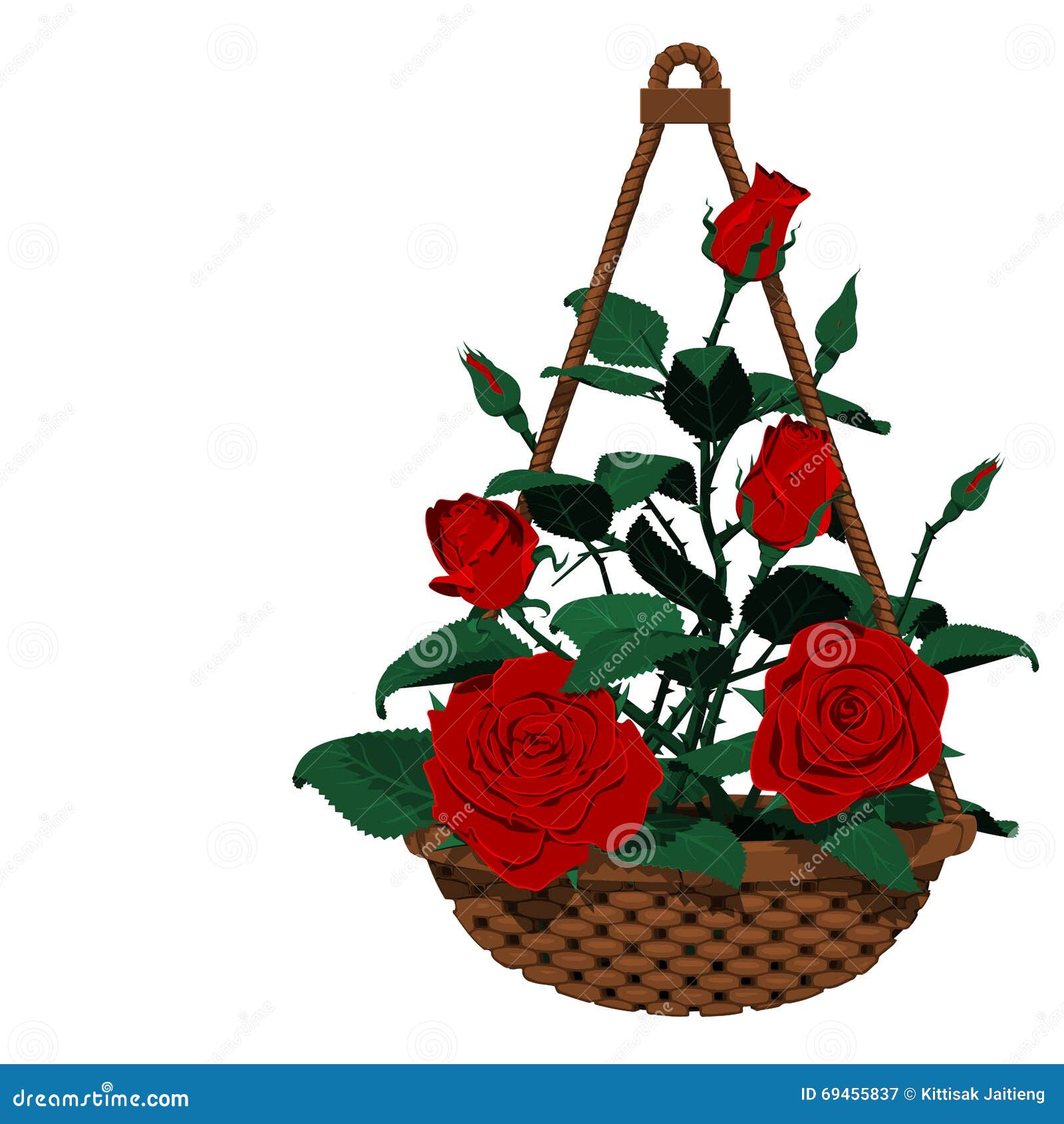 Hanging Basket of Many Roses Stock Vector Illustration of rose, basket 69455837