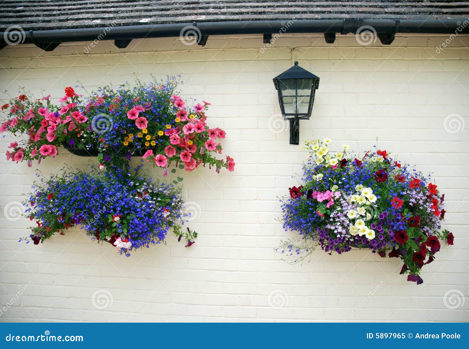 Hanging Baskets stock image. Image of wall, england, surrey 5897965