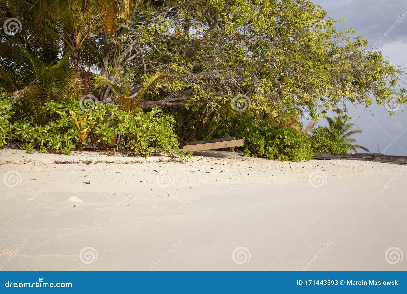 Hanging Bed on the Beach in the Maldives Stock Image Image of