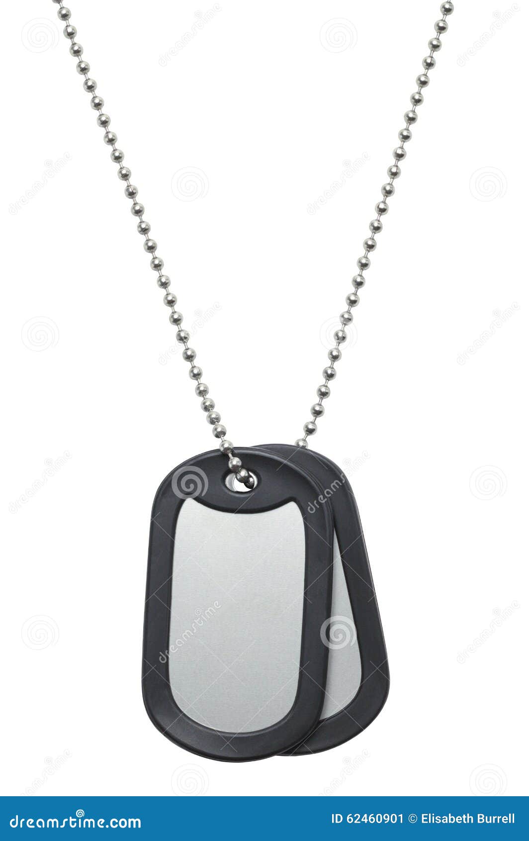 Hanging Dog Tags stock image. Image of background, blank 62460901