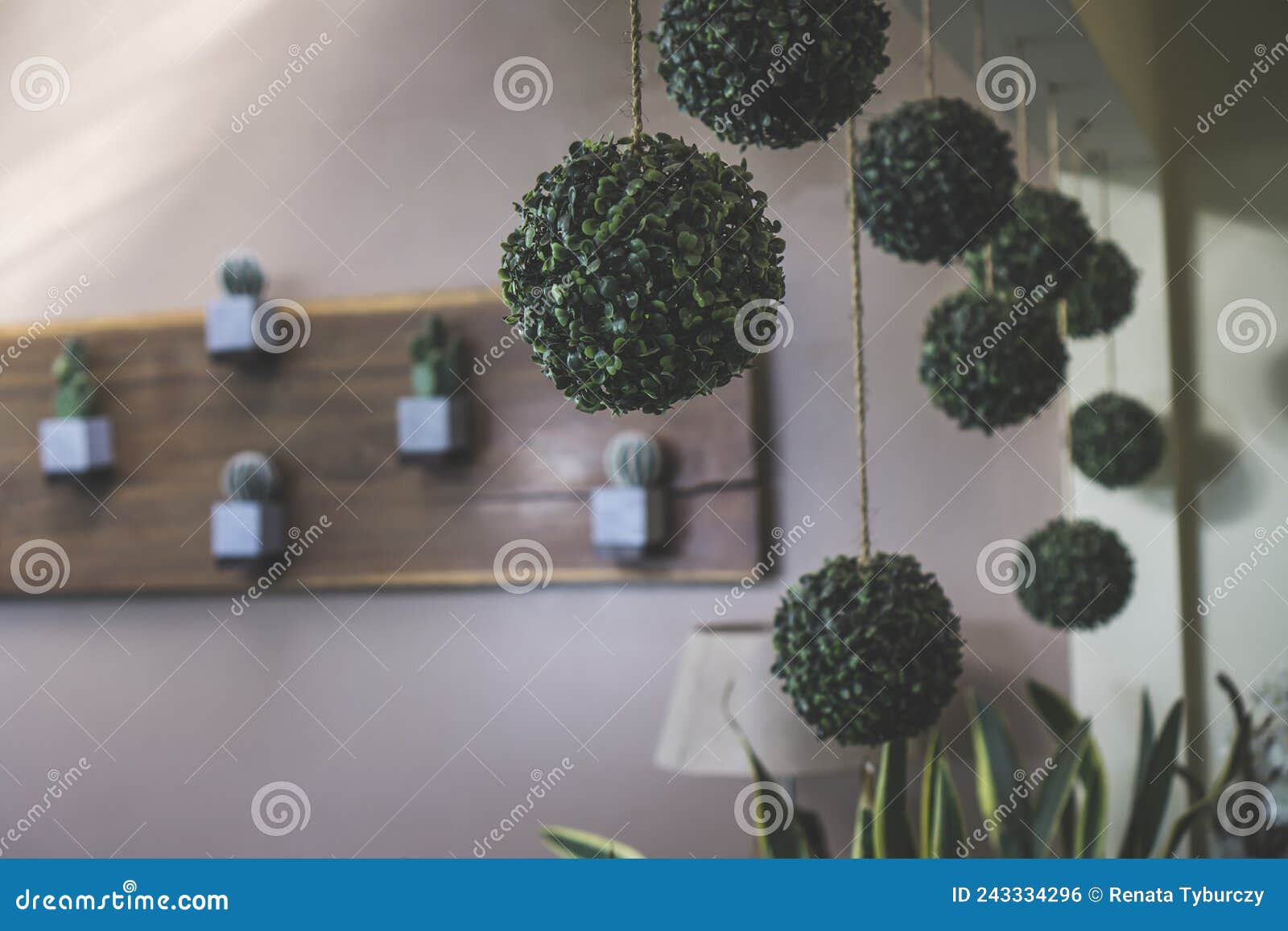 Hanging Fake Indoor Plants from a Wall in the Shape of Ball. Balls ...