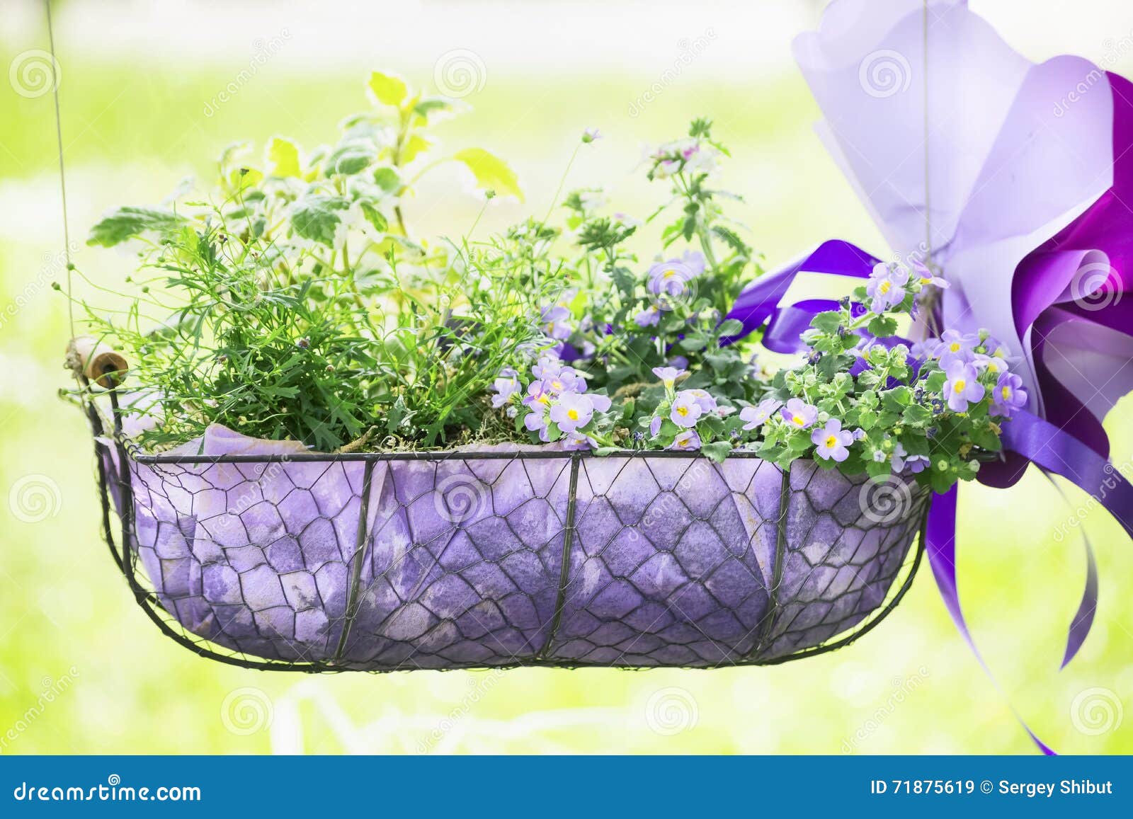 Hanging Flower Bed Park On A Sunny Natural Background Stock Image