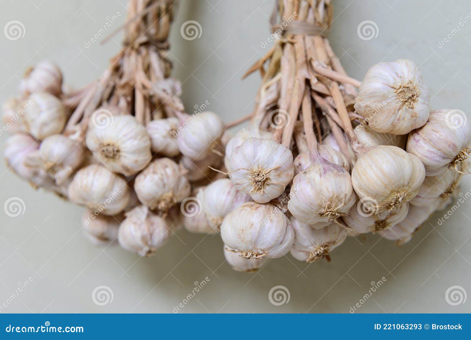Hanging garlic on drying stock image. Image of healthy 221063293