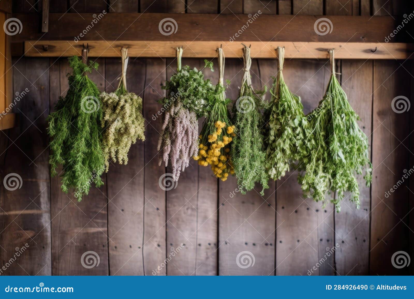 Hanging Herbs on Rustic Wooden Drying Rack Stock Illustration