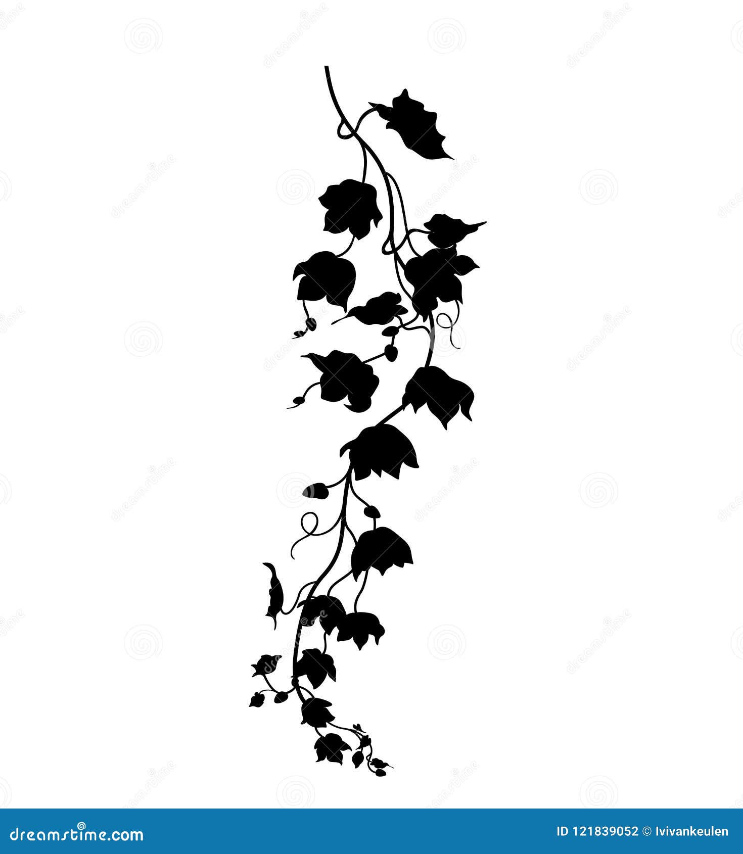 Download Hanging Plant Leaves Silhouette Isolated On White ...