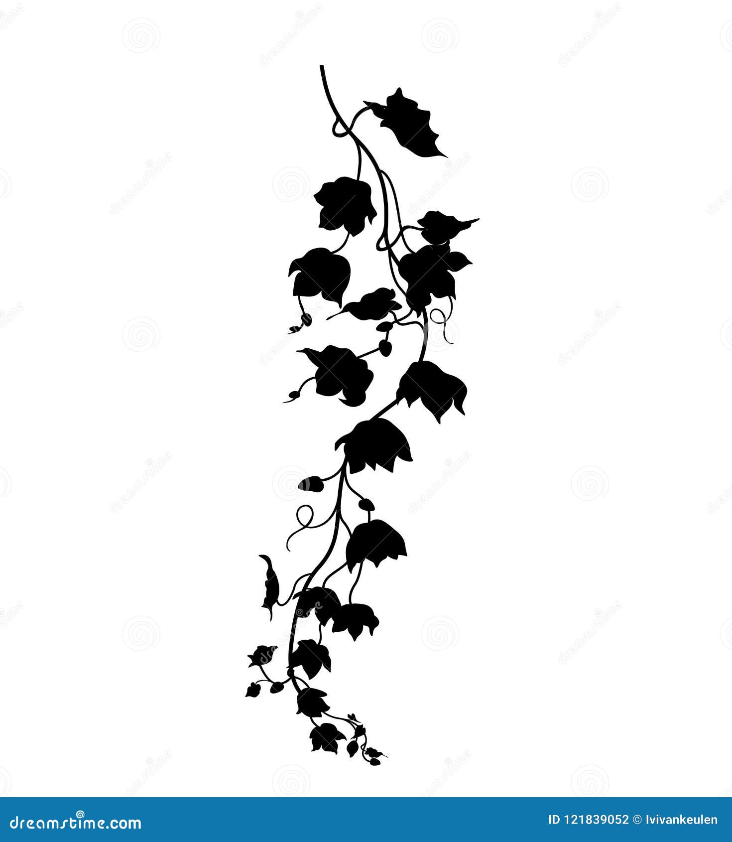 Hanging Plant Leaves Silhouette Isolated on White Background Stock Vector Illustration of