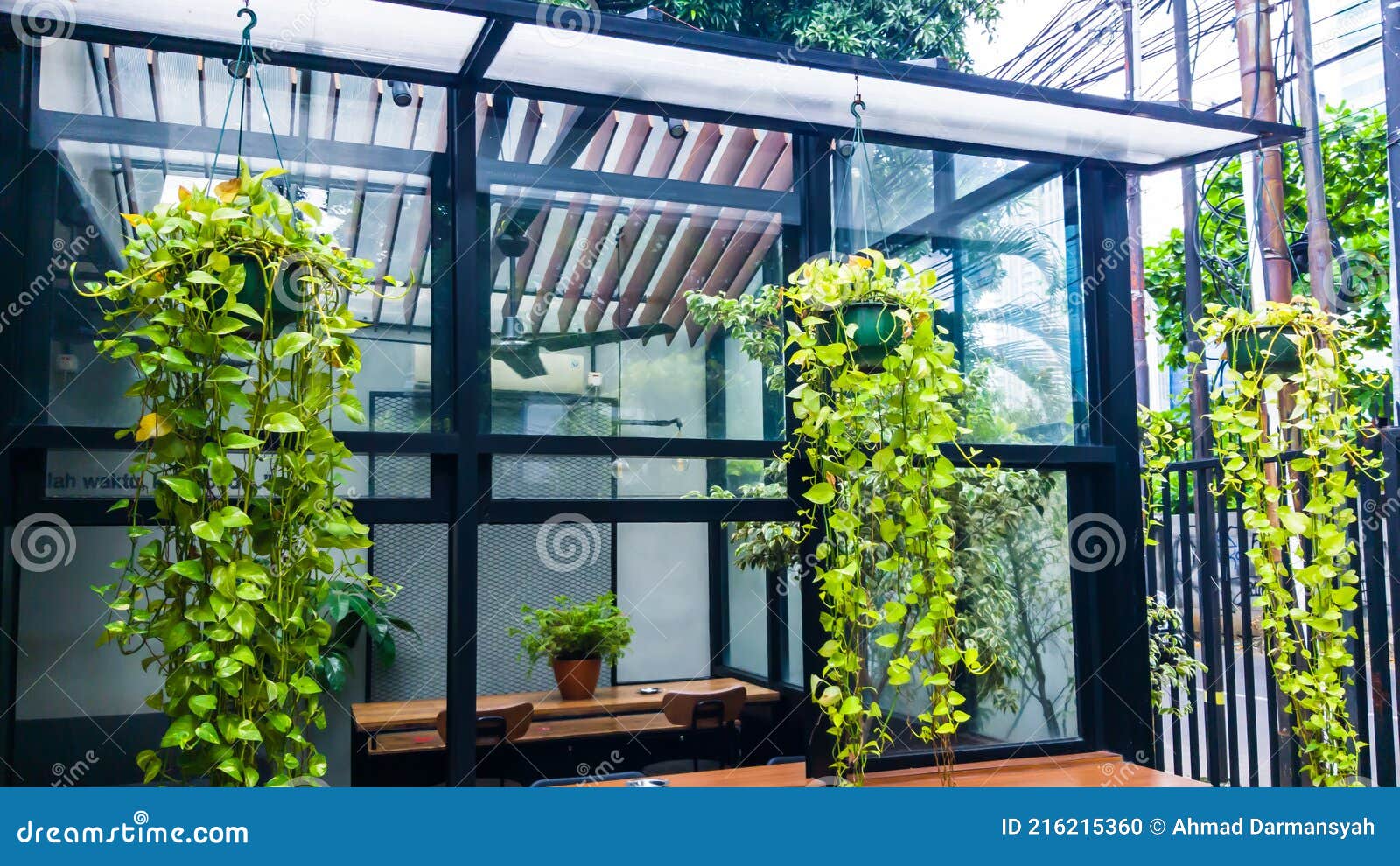 Hanging Plant Pots Outside Glass House In Jakarta Indonesia Stock Photo Image Of Door Meeting  - Hanging Plants For Balcony Privacy