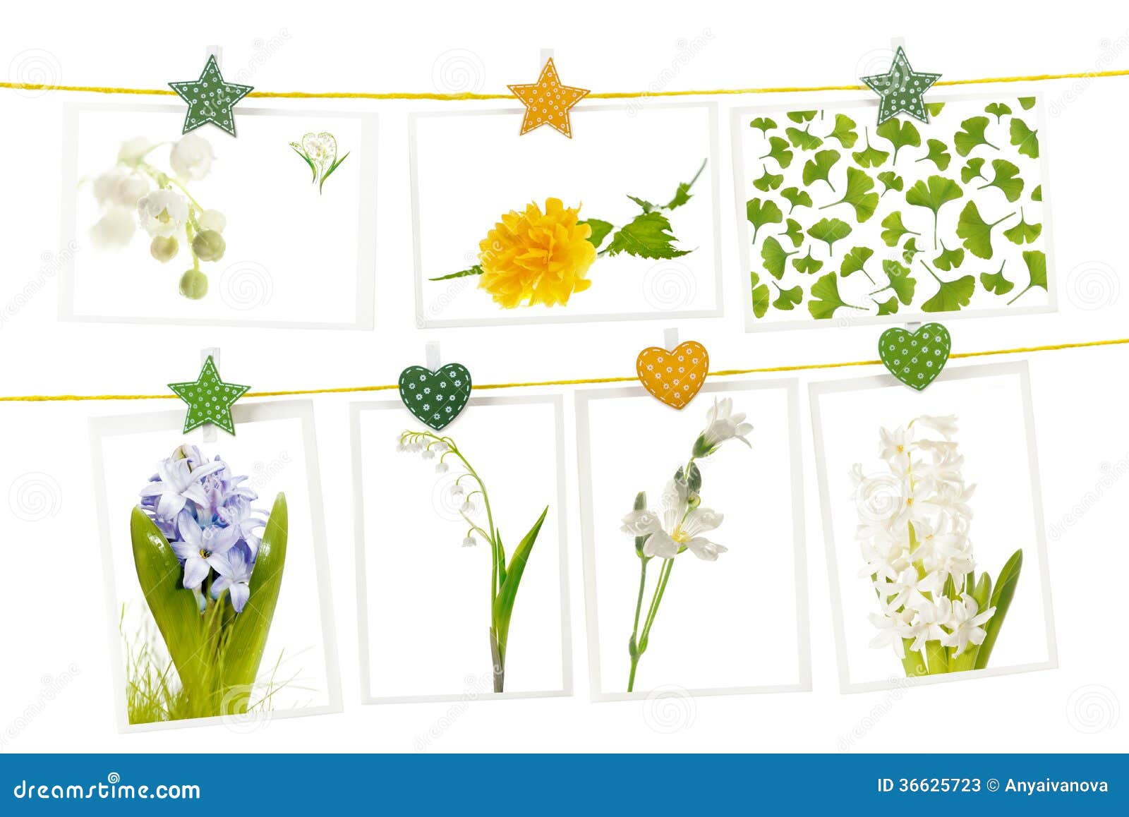 Hanging Postcards with Spring Flowers Stock Image Image of hyacinthus