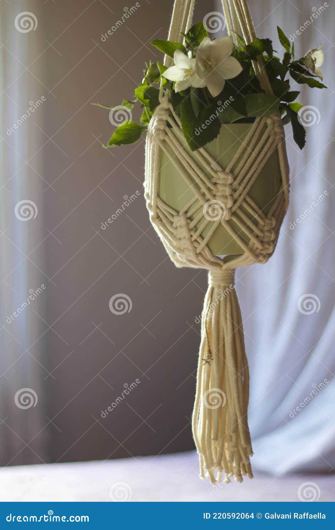 Hanging Pot Holder in Cotton Rope with Tassel Stock Photo Image of