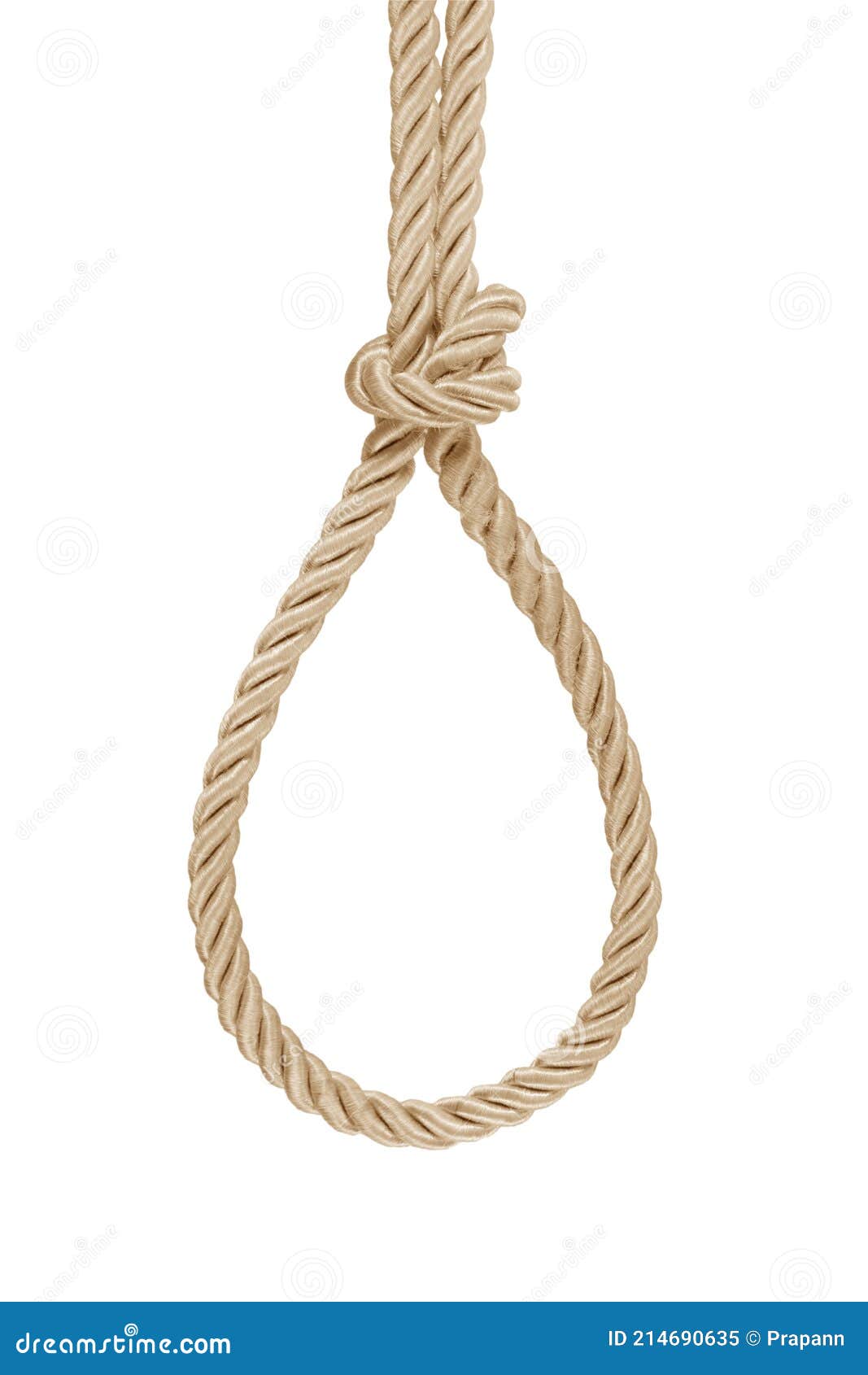 Hanging Rope Knot Tied Isolated on White Stock Image - Image of security,  connection: 214690635