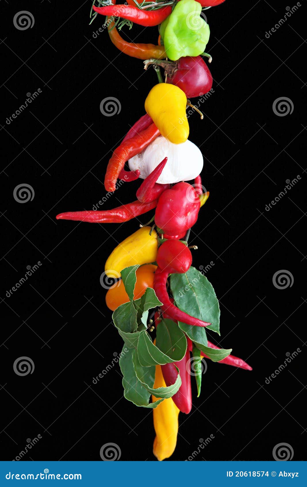 Hanging vegetable stock photo. Image of taste, pepper 20618574
