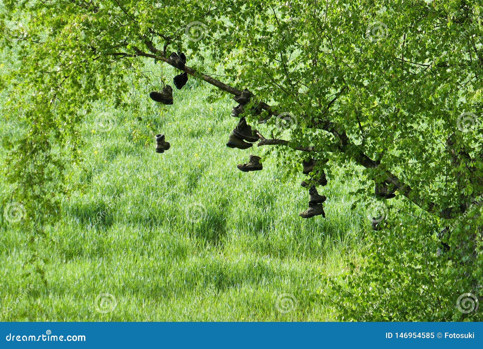 Hanging walking shoes stock image. Image of green, beautiful 146954585