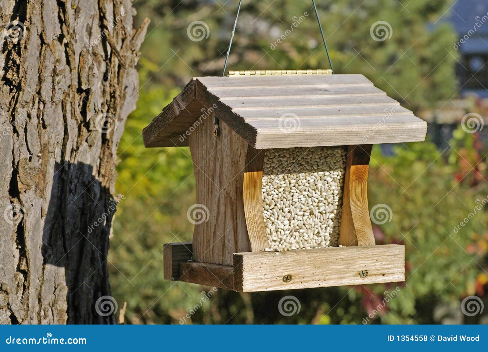 Hanging wooden bird feeder stock photo. Image of bird 