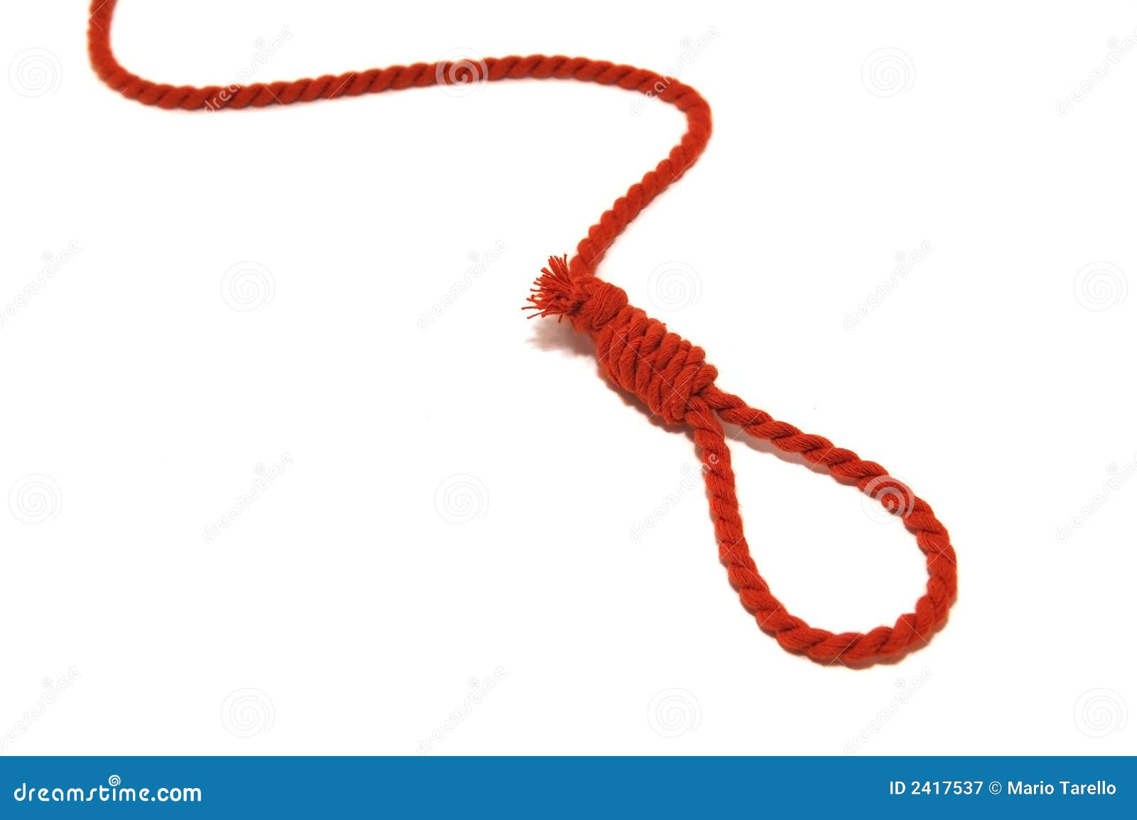 Hangman Knot Royalty Free Stock Photography - Image: 2417537