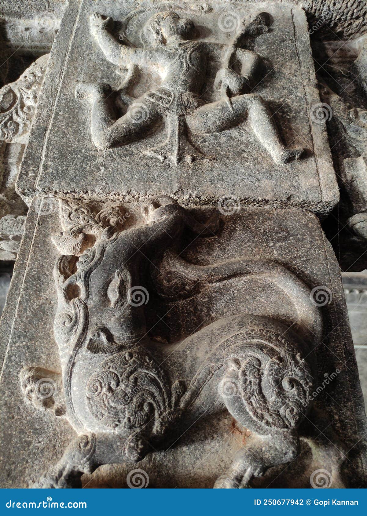 Yazhi Stock Photos - Free & Royalty-Free Stock Photos from Dreamstime Yazhi Stock Photos - Free & Royalty-Free Stock Photos from Dreamstime