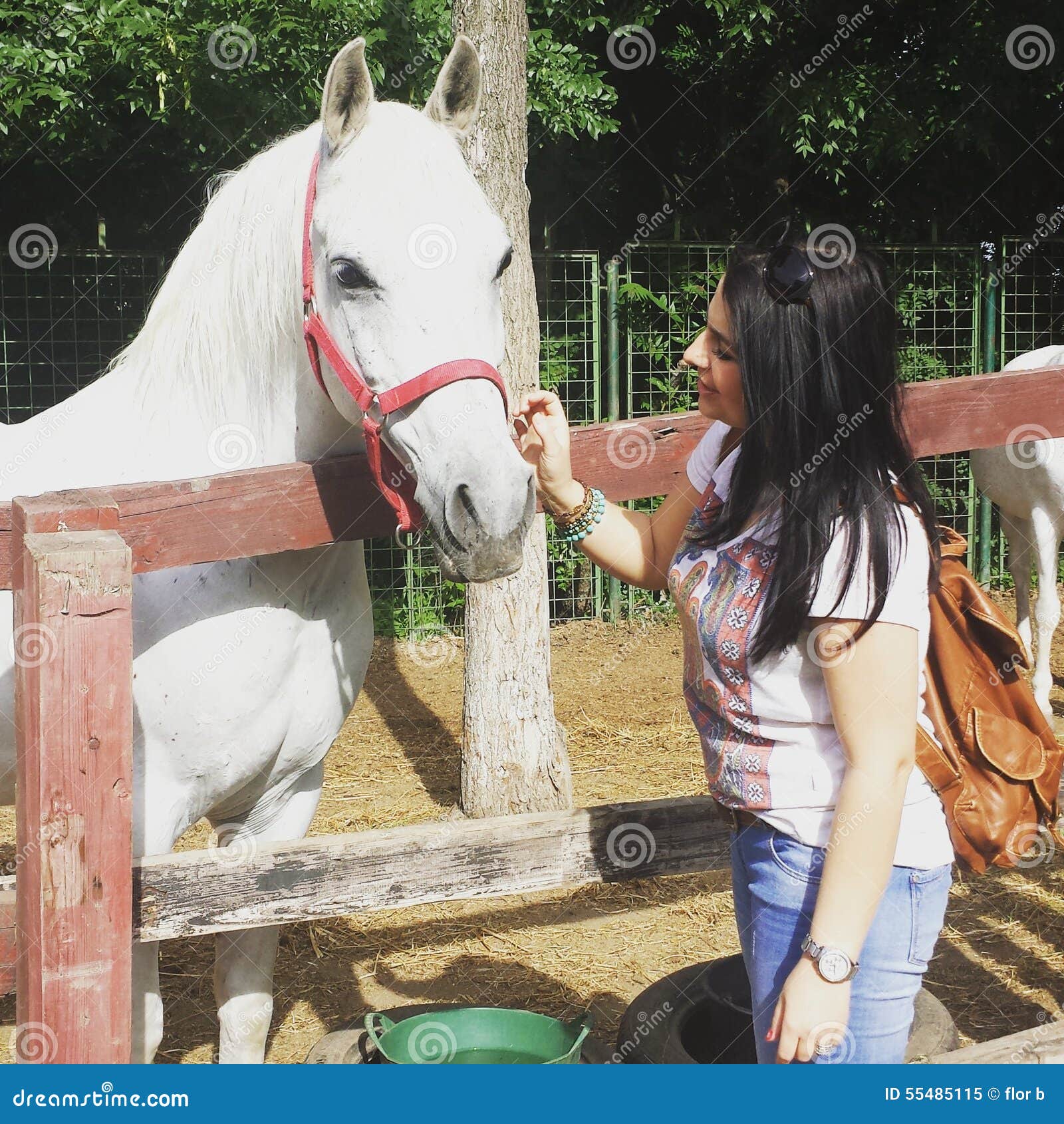 Happiness editorial image. Image of life, horses, happiness 55485115